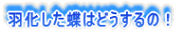 H͂ǂ́I