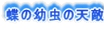 ̗c̓VG